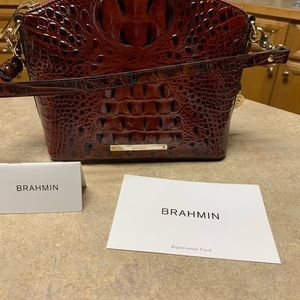 Brahmin Purse